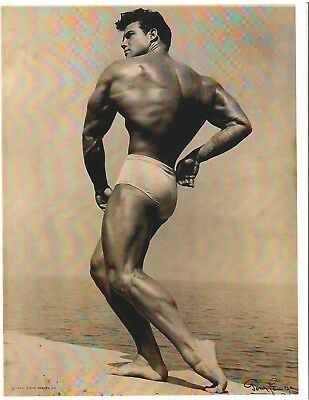 Steve Reeves