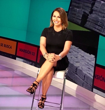 María Elena Salinas