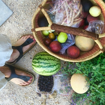 Shiva Rose