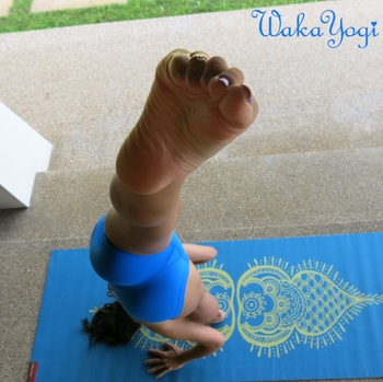 Waka Yogi