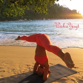 Waka Yogi