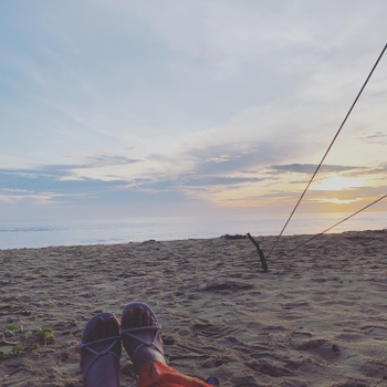 Ninh Duong Lan Ngoc