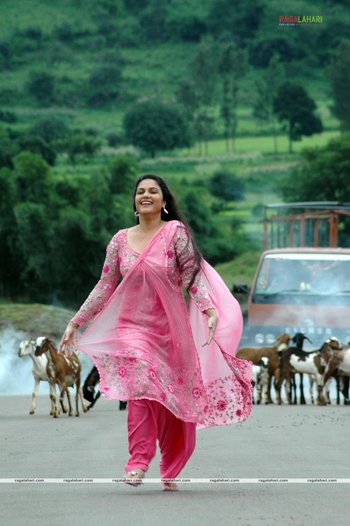 Gracy Singh