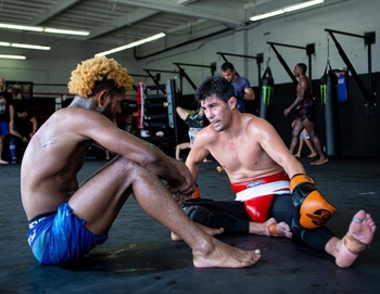 Dominick Cruz