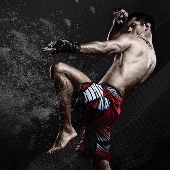 Dominick Cruz