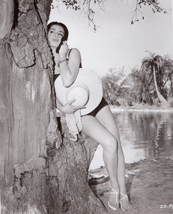 Ziva Rodann