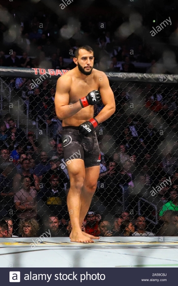 Dominick Reyes