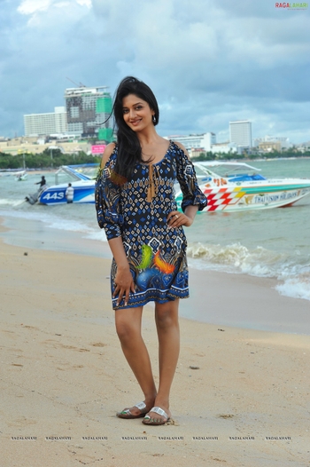 Vimala Raman