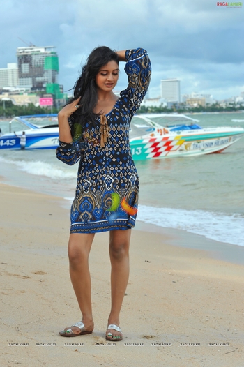 Vimala Raman