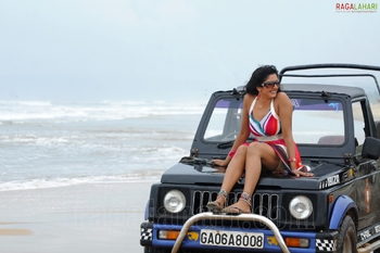 Vimala Raman