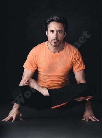 Robert Downey Jr.