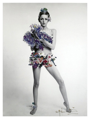 Twiggy (I)