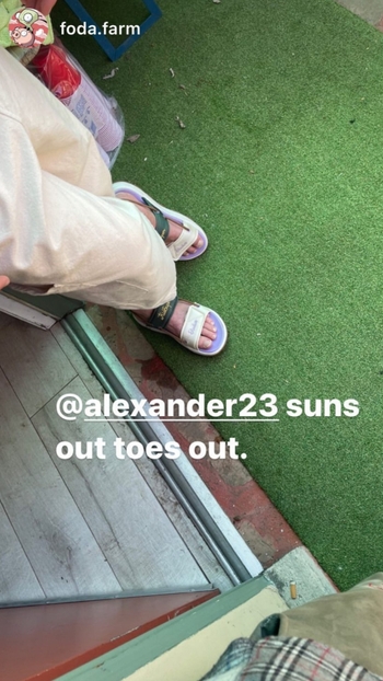 Alexander 23