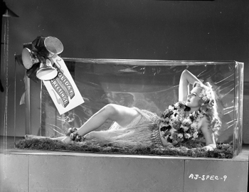 Anne Jeffreys