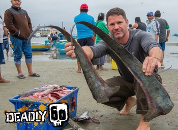 Steve Backshall