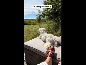  alt="Pia Olsen Dyhr"