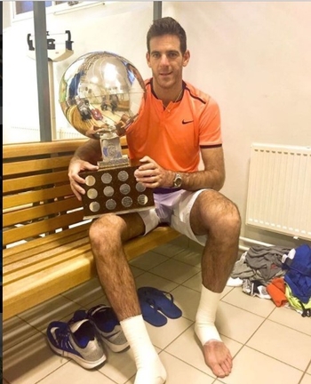 Juan Martin del Potro