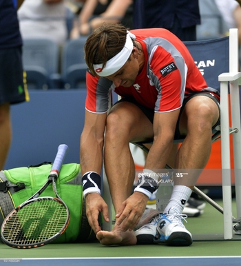 David Ferrer