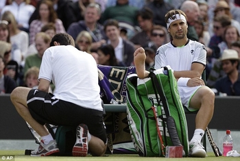 David Ferrer