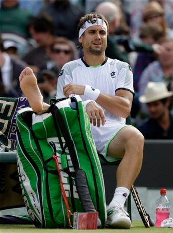 David Ferrer