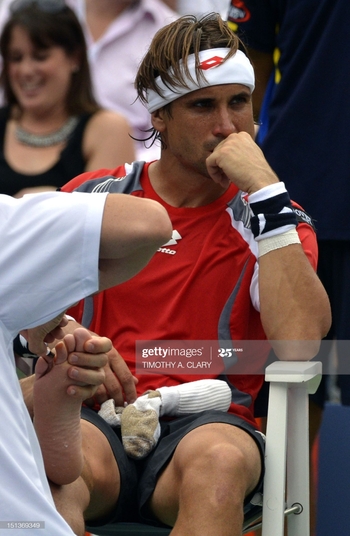 David Ferrer