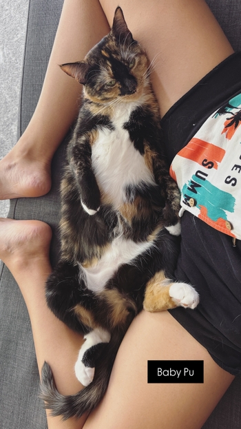 Anastasiia Catz Liakh