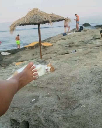 Jessica Maria Gilhooley