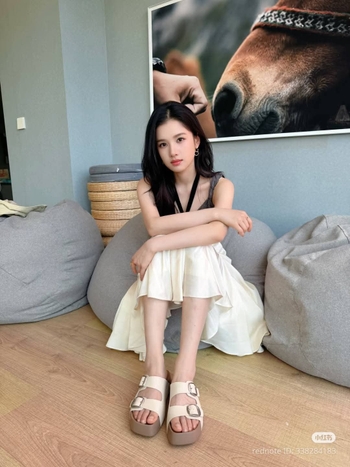 Jingyi Zhang