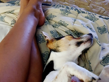 Devi Sankaree Govender