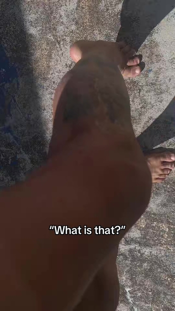 Checkthestar