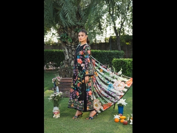  alt="Hira Mani"