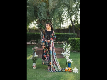  alt="Hira Mani"
