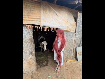  alt="Sampada Hulivana"