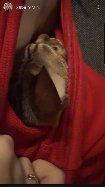 xFibii