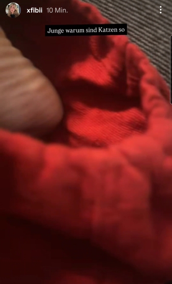 xFibii