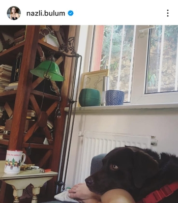 Nazli Bulum