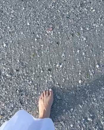 Stacey Edward Harris