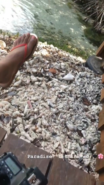 Brenna Marie Narayan