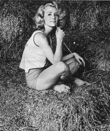 Inger Stevens