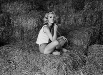 Inger Stevens