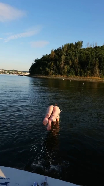 Ikkimel