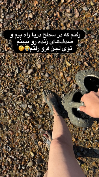 Sheida Rezaei