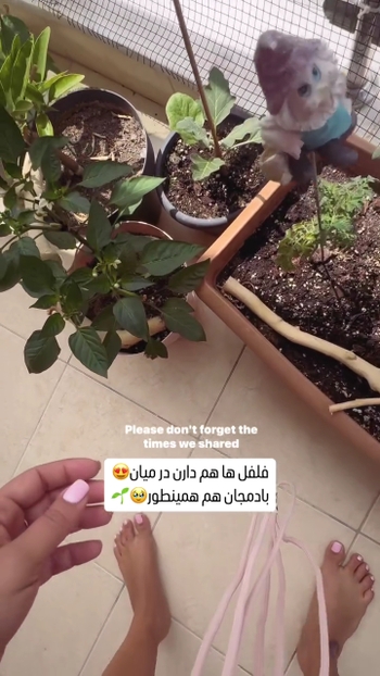 Faranak Soleimani