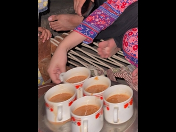  alt="Kashaf Ali"