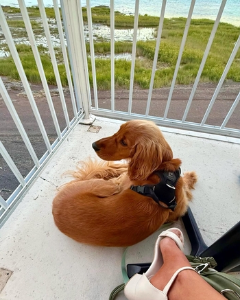 Laura-Gabriel Peyramaure