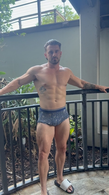 Troy the Stallion