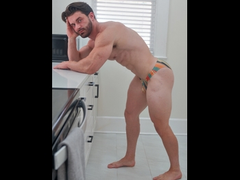  alt="Troy The Stallion"