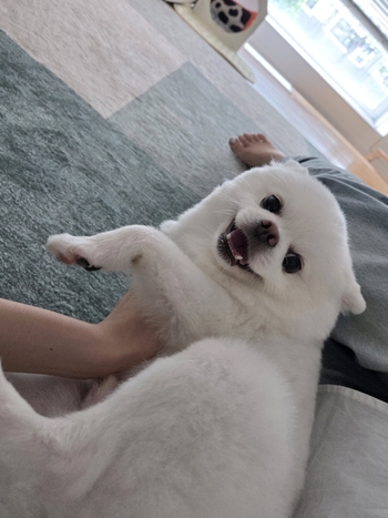 Kim Chae-won