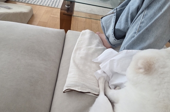 Kim Chae-won