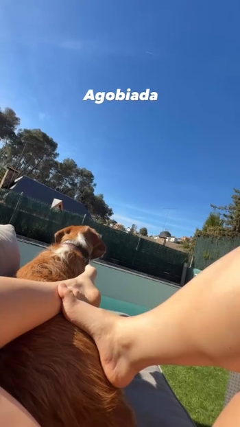Ari Geli